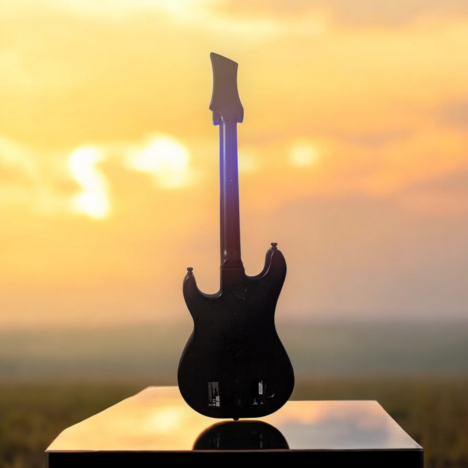 Custom Guitar Hero 5 Controller (PlayStation Body)